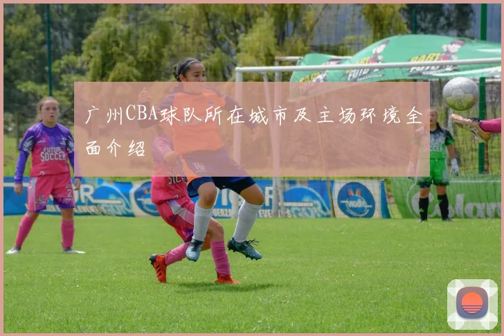 广州CBA球队所在城市及主场环境全面介绍